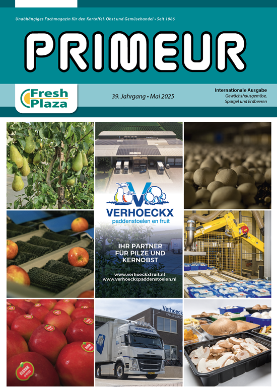 Primeur 4
